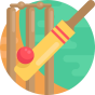 Live Match Scores Updates - PikaShow APK Feature